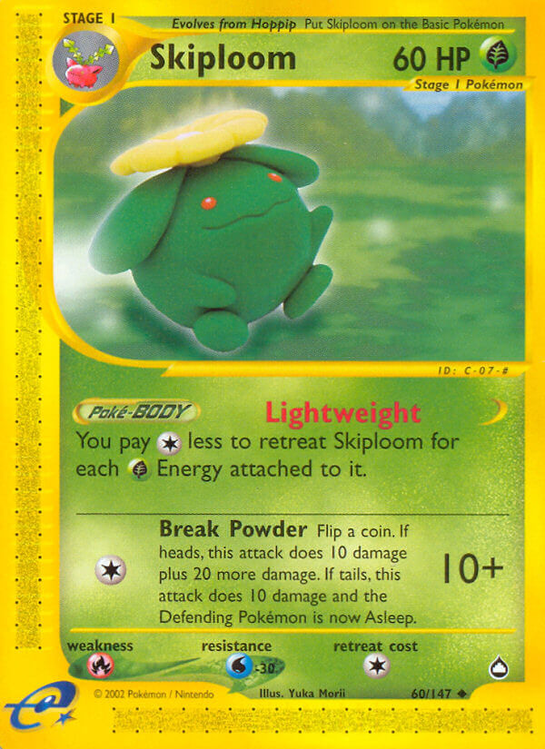 060/147 Skiploom