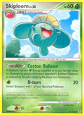 065/132 Skiploom