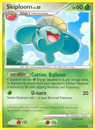 065/132 Skiploom