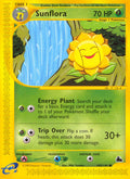 105/144 Sunflora