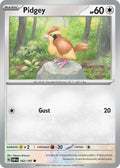 162/197 Pidgey