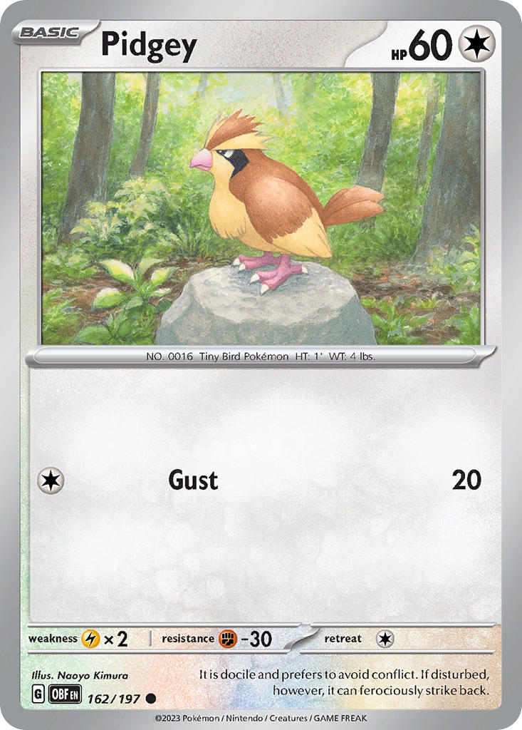 162/197 Pidgey