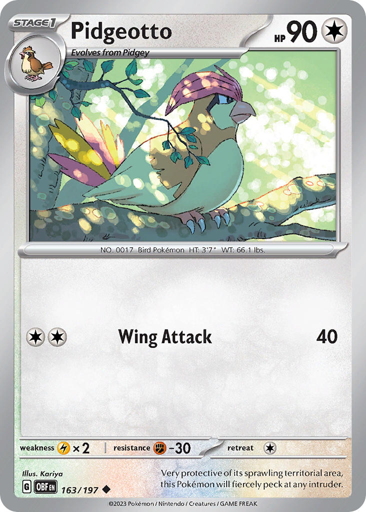 163/197 Pidgeotto