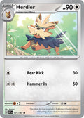 171/197 Herdier