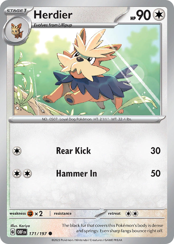 171/197 Herdier