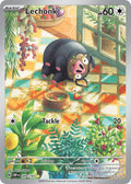 209/197 Lechon