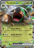 012/162 Torterra EX