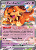 067/142 Dachshund EX