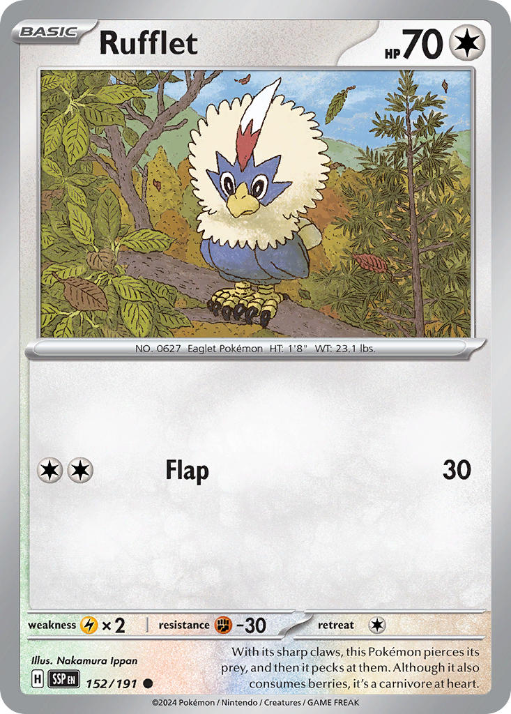 152/191 Ruffled