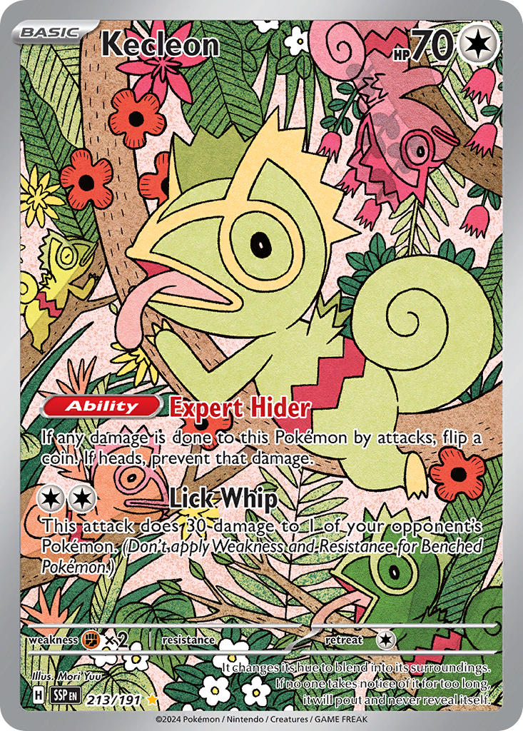 213/191 Kecleon