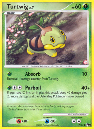 17/17 Turtwig