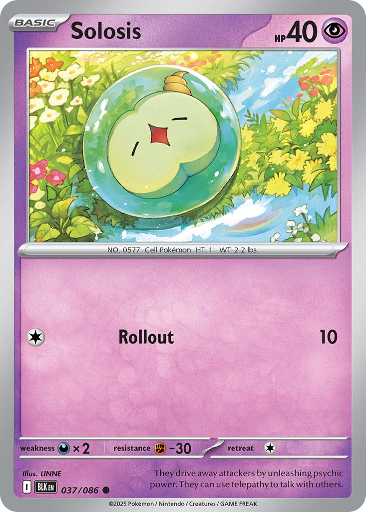 037/086 Solosis