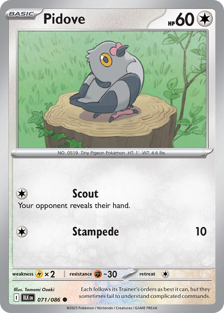 071/086 Pidove