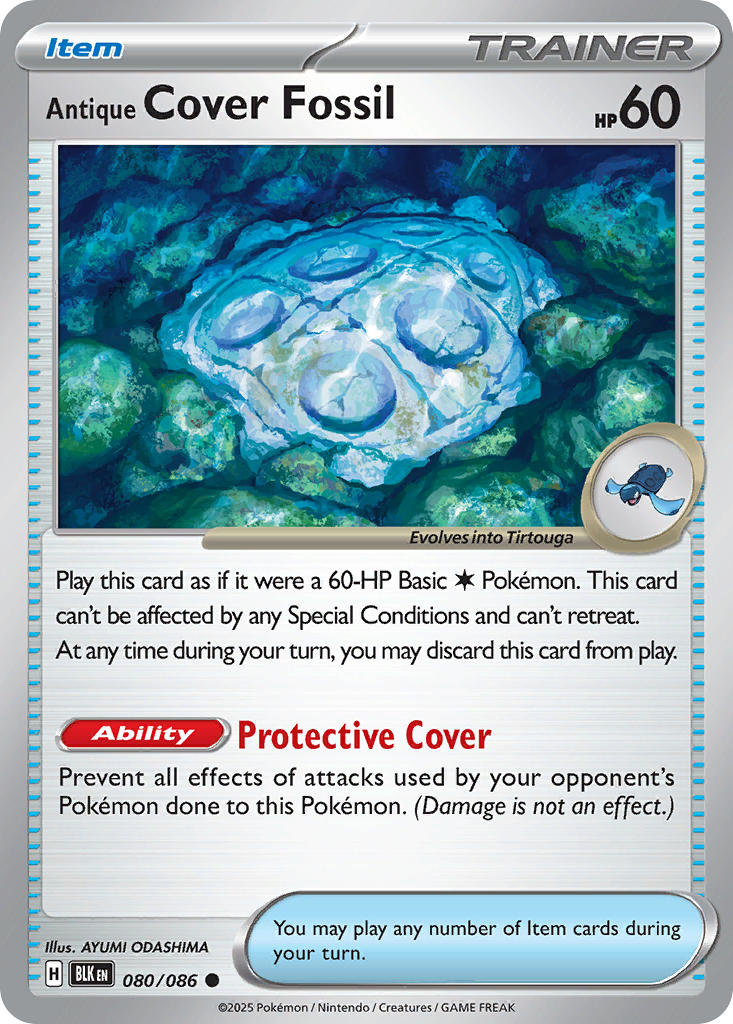 080/086 Antique Cover Fossil