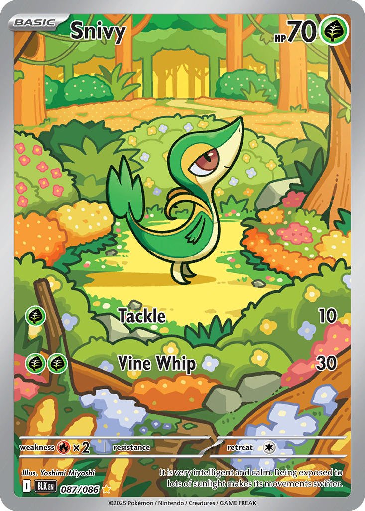 087/086 Snivy