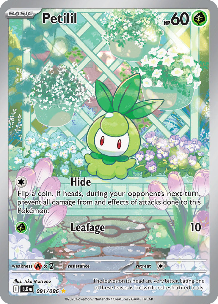 091/086 Petilil