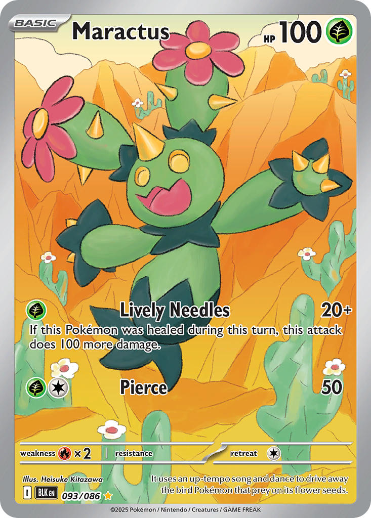 093/086 Maractus