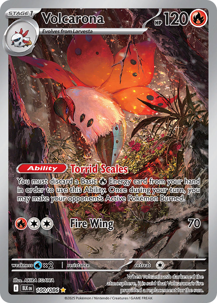 100/086 Litwick