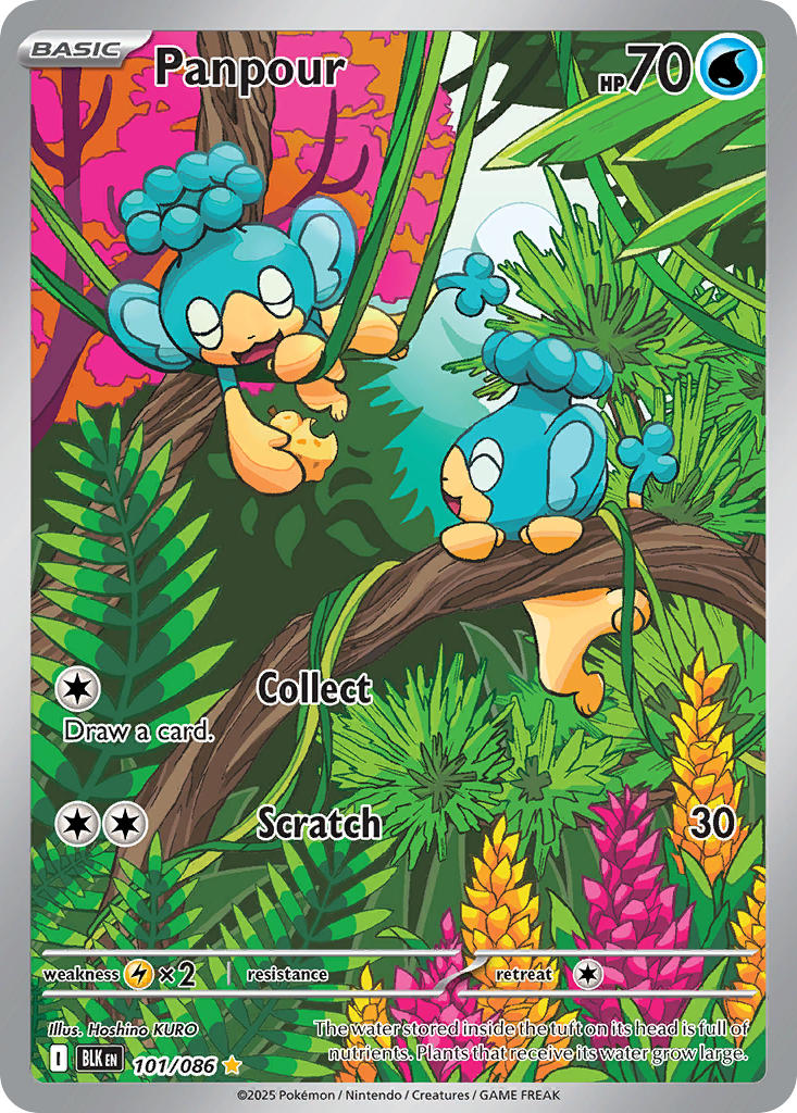 101/086 Panpour