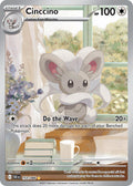 153/086 Cinccino
