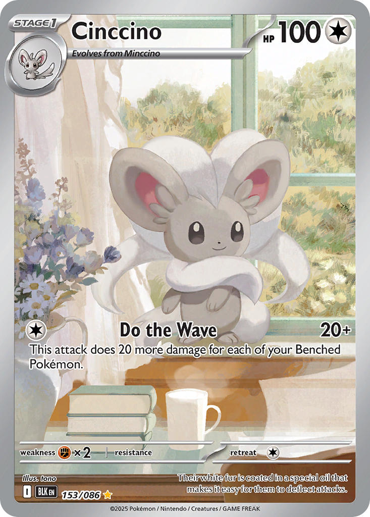 153/086 Cinccino